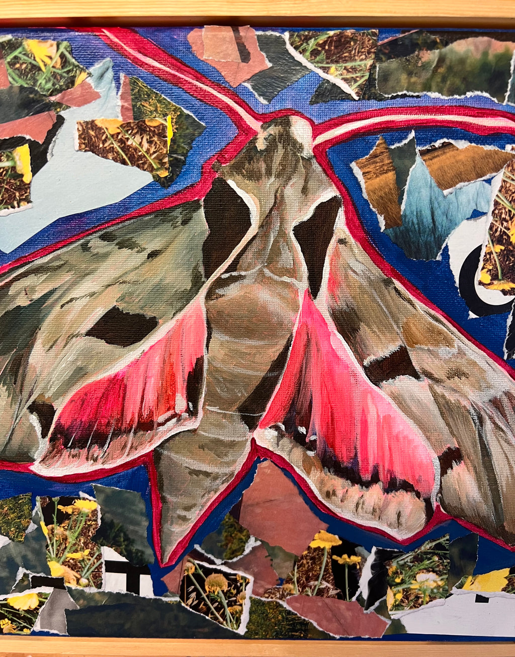 Sphinx Collage