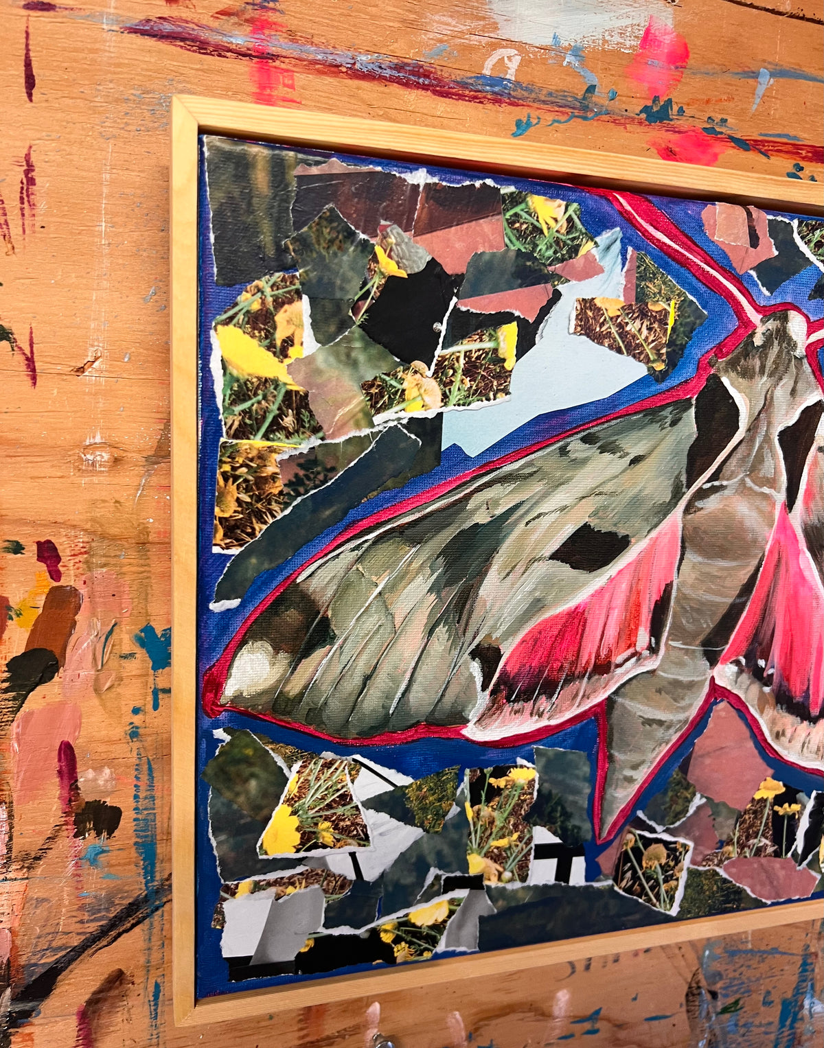 Sphinx Collage