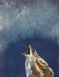 Coyote
