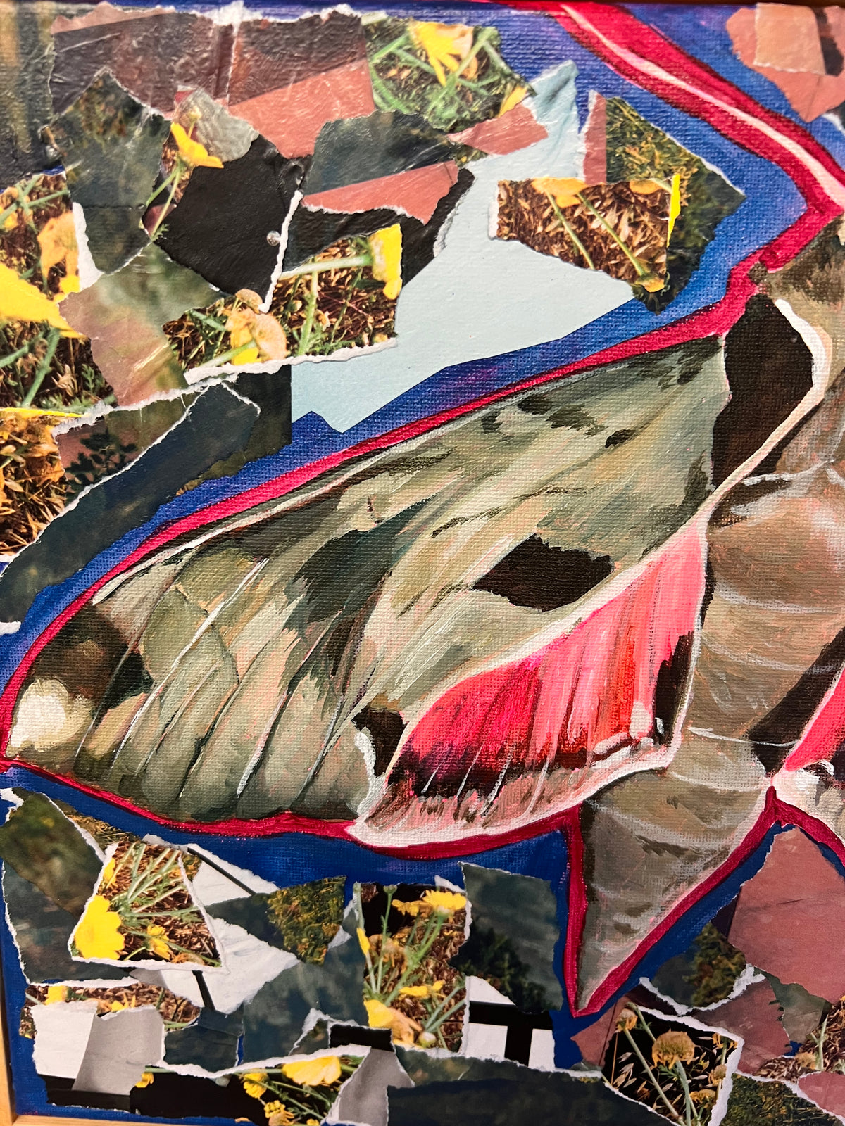 Sphinx Collage