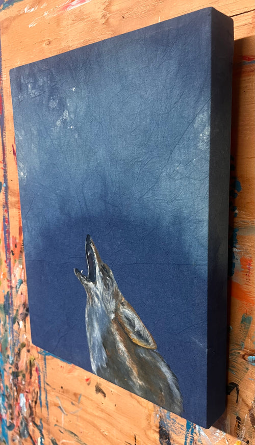 Coyote