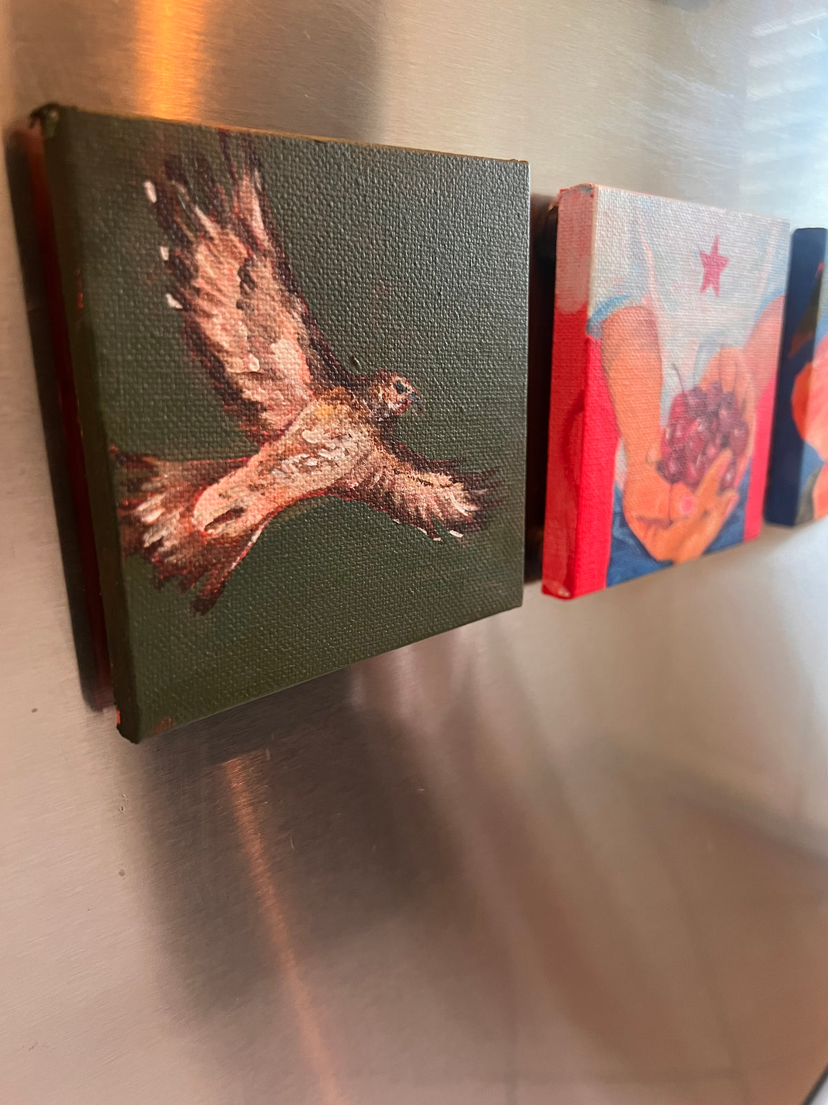 Hawk Magnet