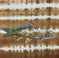 Carp