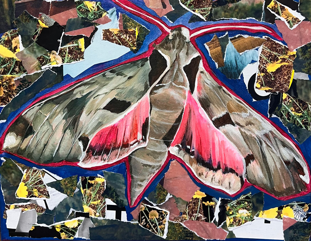 Sphinx Collage