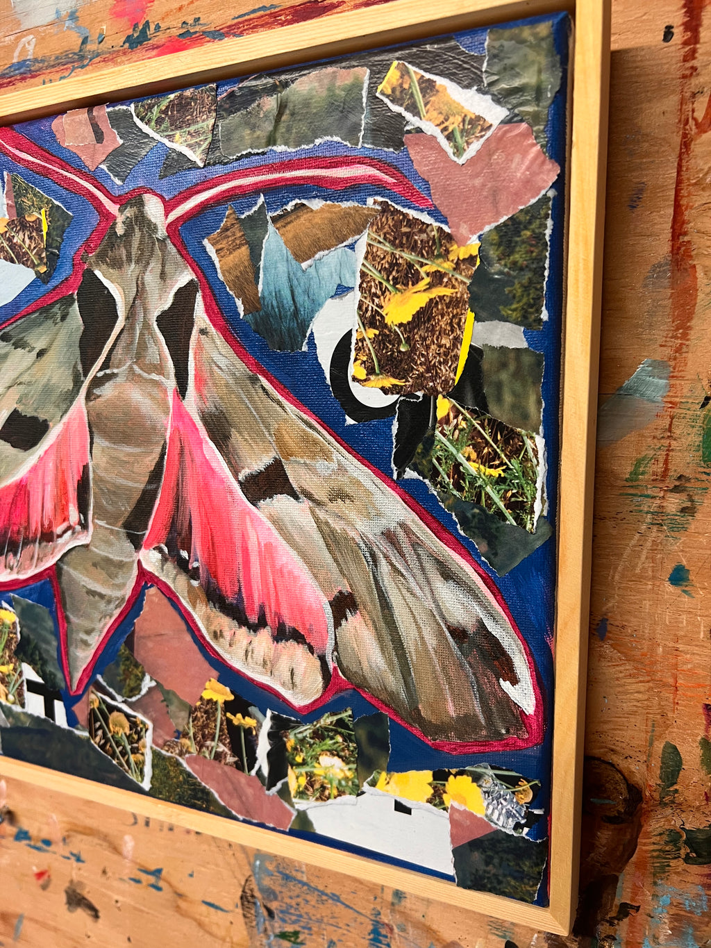 Sphinx Collage