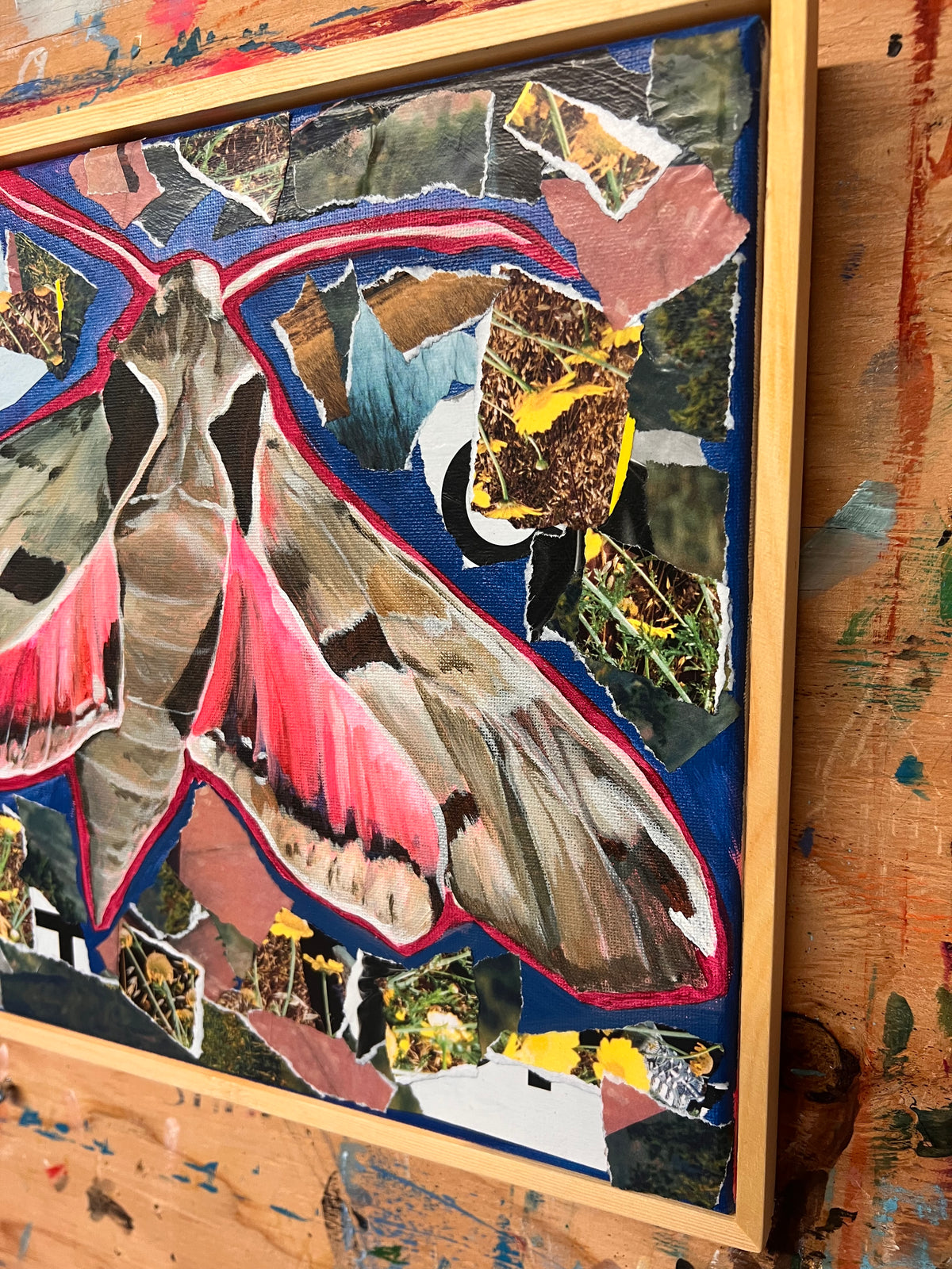Sphinx Collage