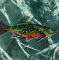 Little Trout 3