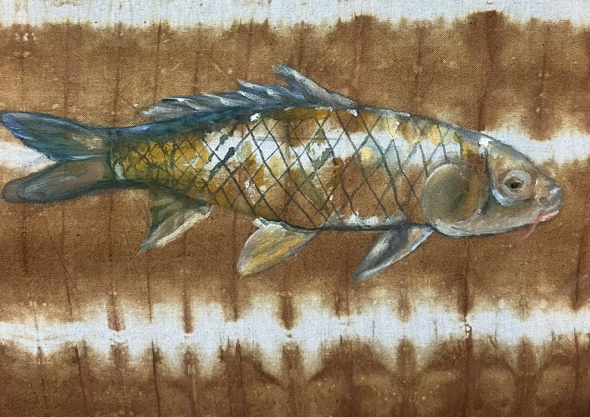 Carp