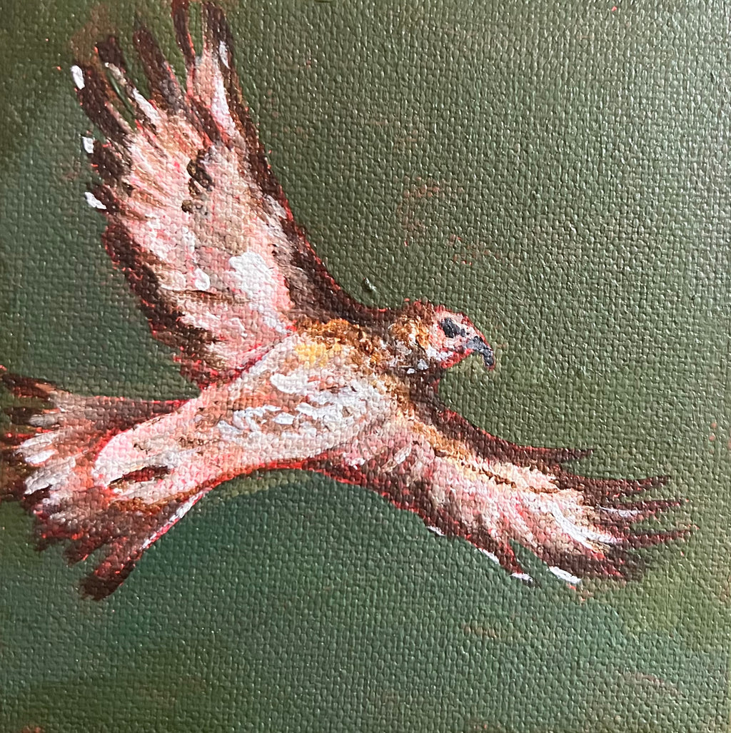 Hawk Magnet