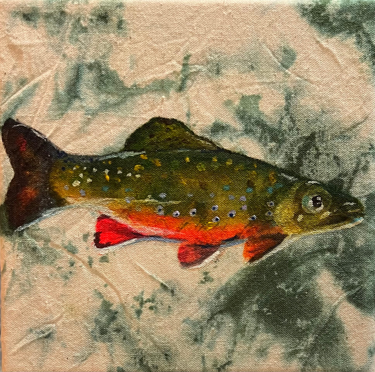 Little Trout 1